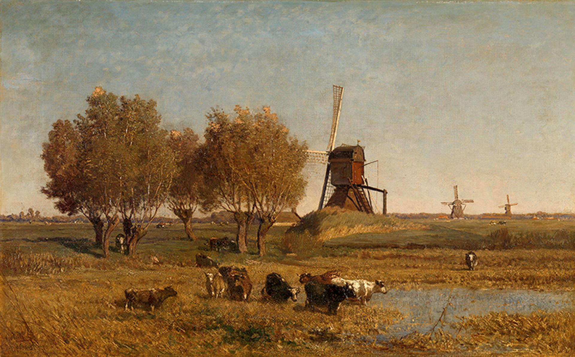 Lezing: Leren van het landschap